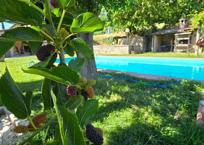 Il Sogno Umbro 게스트하우스